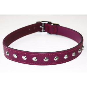 11-BOYSENBERRY